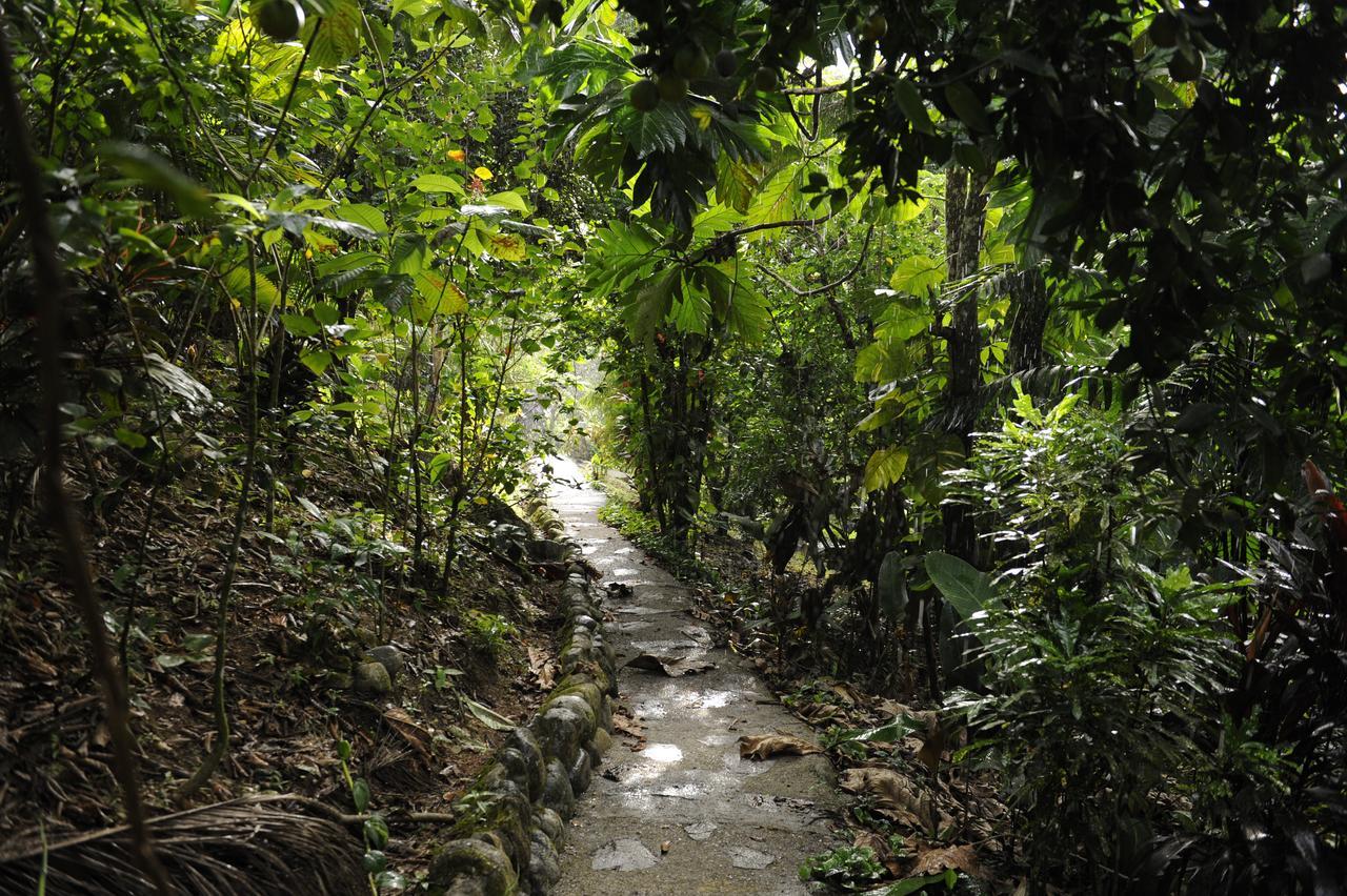Omega Tours Eco-Jungle Lodge ลาเซย์บา ภายนอก รูปภาพ