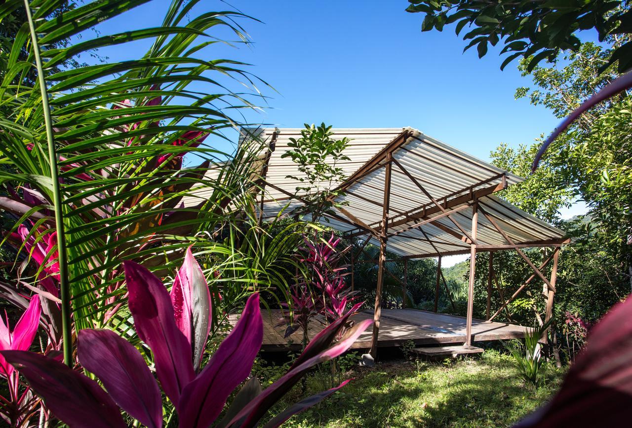 Omega Tours Eco-Jungle Lodge ลาเซย์บา ภายนอก รูปภาพ