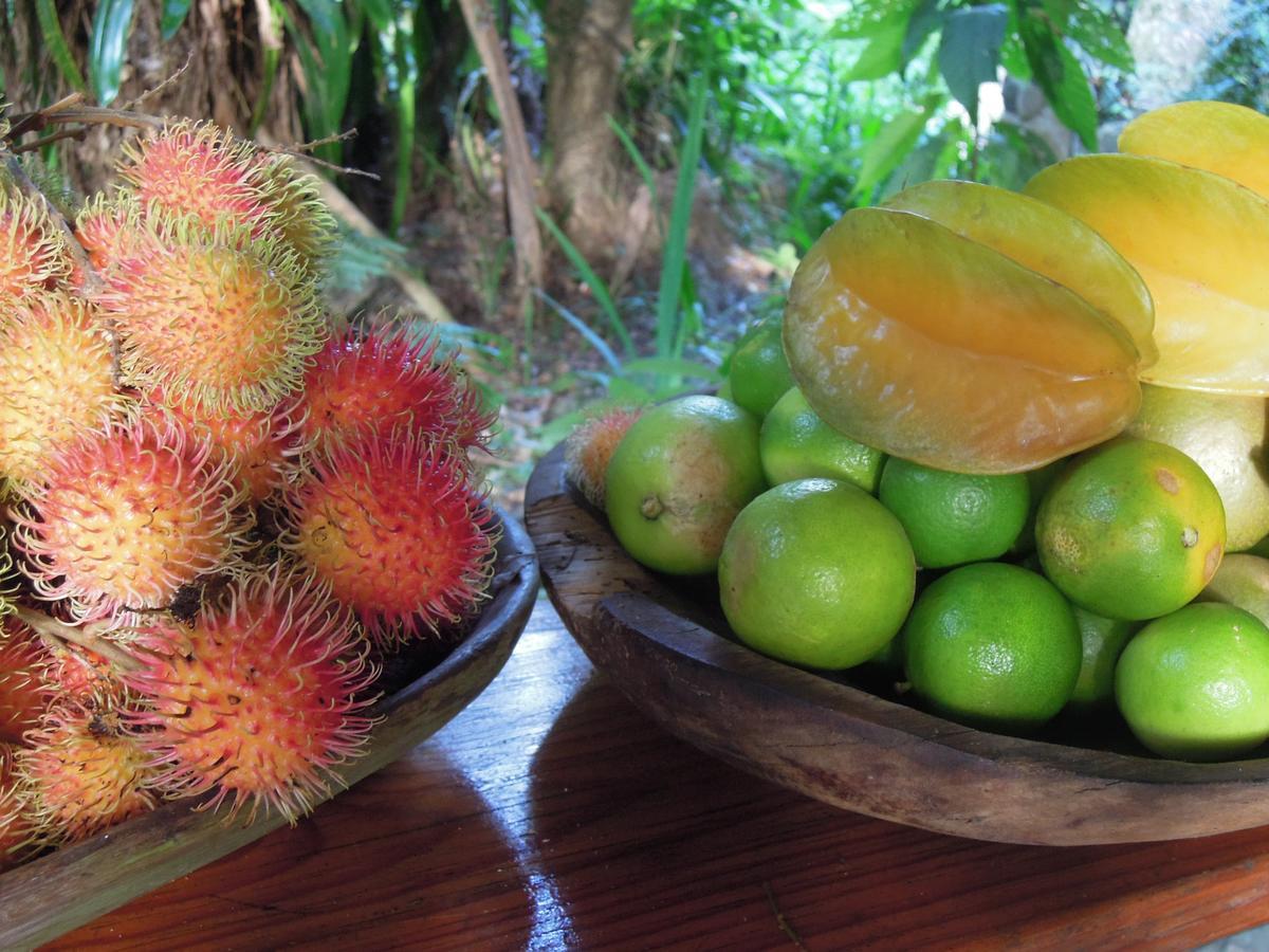 Omega Tours Eco-Jungle Lodge ลาเซย์บา ภายนอก รูปภาพ